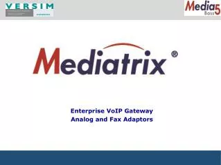 Enterprise VoIP Gateway Analog and Fax Adaptors