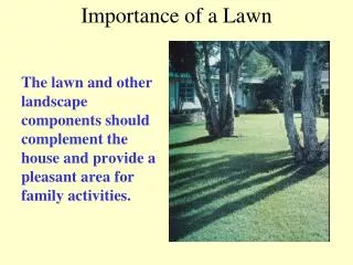 Importance of a Lawn