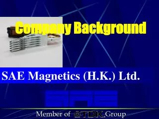 SAE Magnetics (H.K.) Ltd.