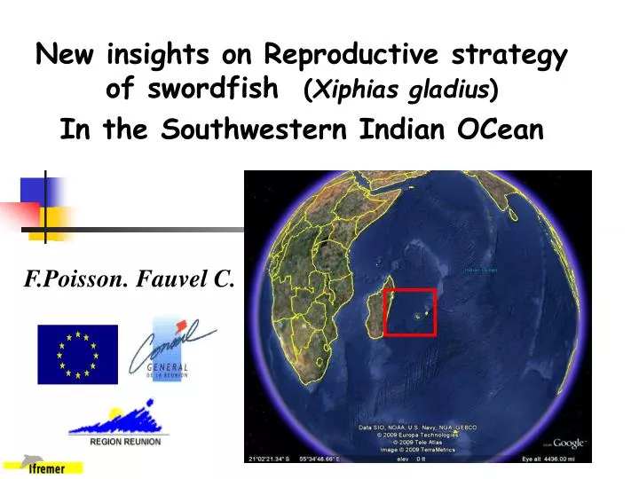 new insights on reproductive strategy of swordfish xiphias gladius in the southwestern indian ocean