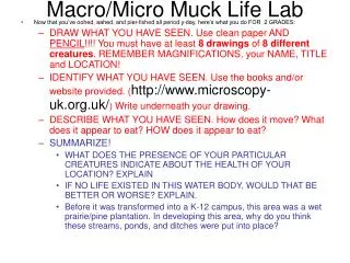 Macro/Micro Muck Life Lab