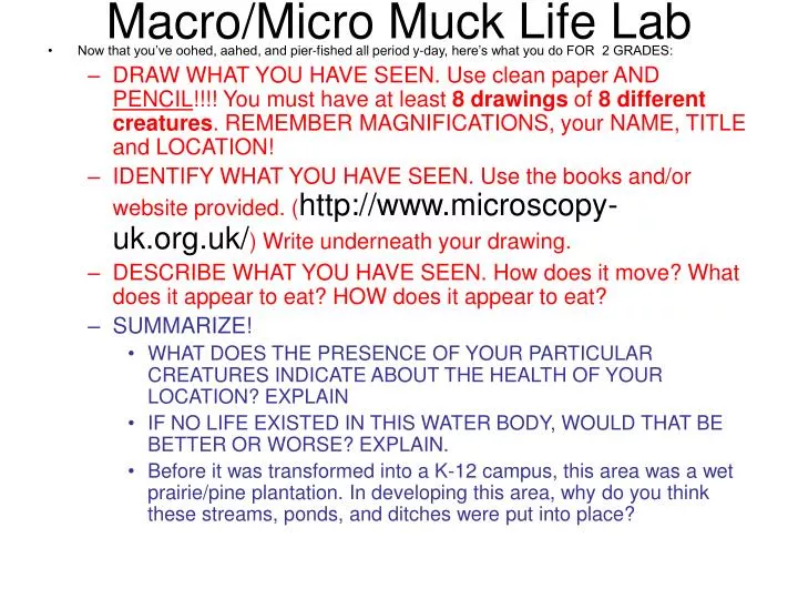 macro micro muck life lab
