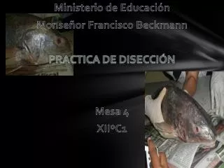 Ministerio de Educación Monseñor Francisco Beckmann Practica de Disección Mesa 4 XIIºC1
