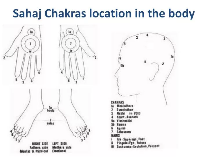 sahaj chakras location in the body