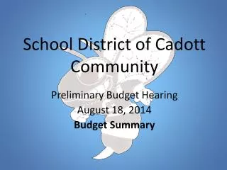 School District of Cadott Community