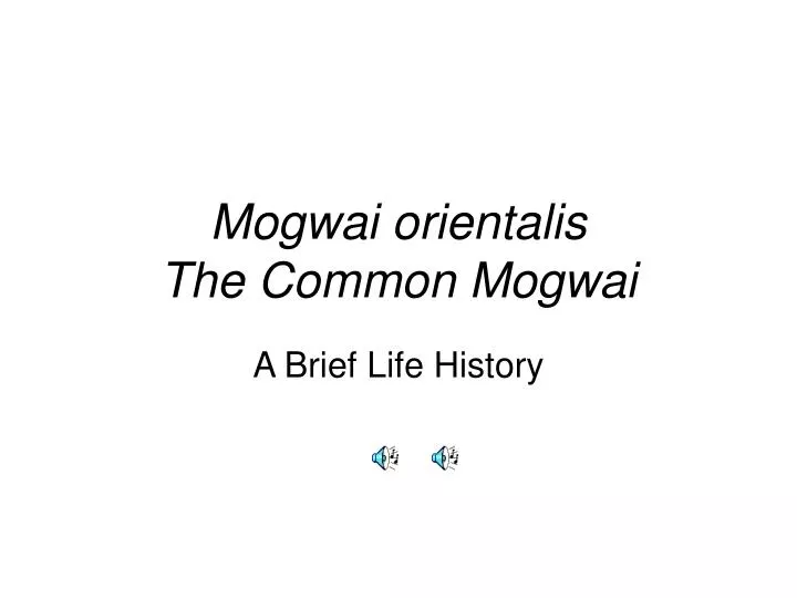 mogwai orientalis the common mogwai