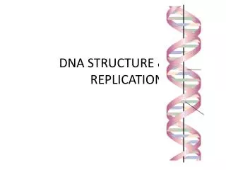 DNA STRUCTURE &amp; 		REPLICATION