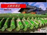 王府井项目 - slide 1