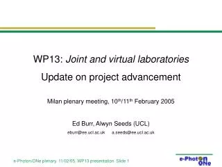 WP13: Joint and virtual laboratories Update on project advancement