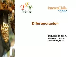 CARLOS CORREA M. Ingeniero Forestal Consultor Apícola.