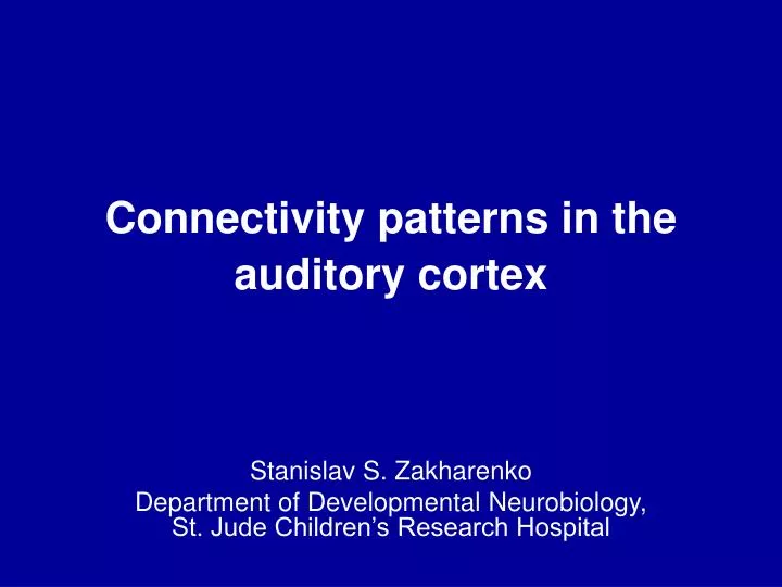 connectivity patterns in the auditory cortex
