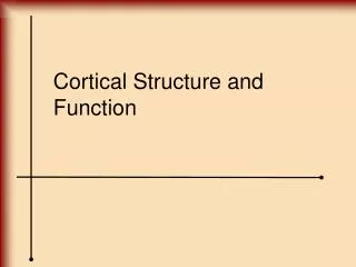 Cortical Structure and Function