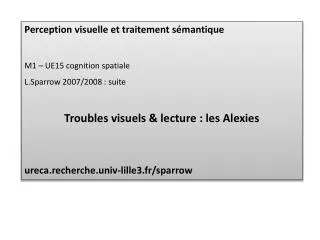 Perception visuelle et traitement sémantique M1 – UE15 cognition spatiale