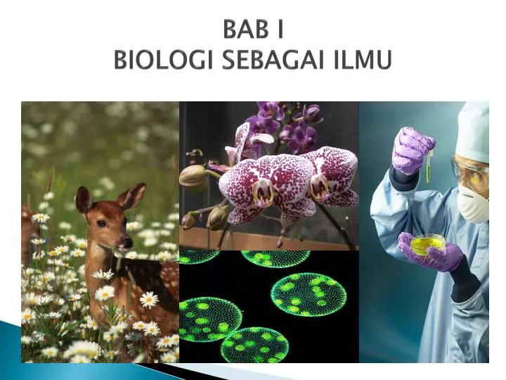 bab i biologi sebagai ilmu