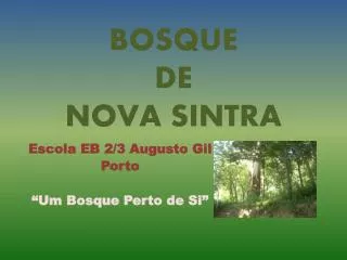 BOSQUE DE NOVA SINTRA