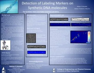 Detection of Labeling Markers on Synthetic DNA molecules
