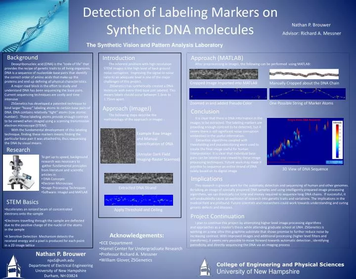 detection of labeling markers on synthetic dna molecules