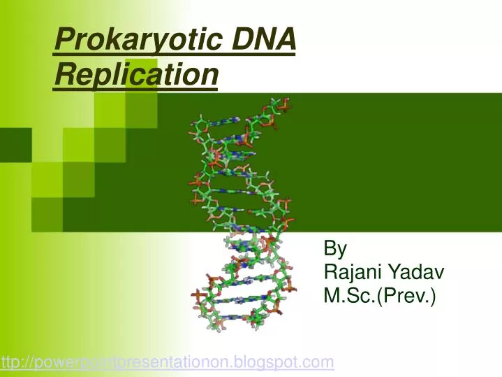 prokaryotic dna replication