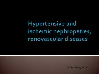 Hypertensive and ischemic nephropaties, renovascular diseases