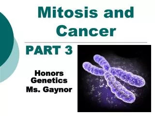 Mitosis and Cancer
