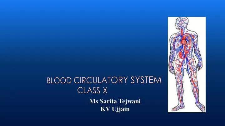 blood circulatory system class x