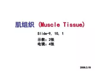 肌组织 (Muscle Tissue) Slide-9, 10, 1 示教： 2 张 电镜： 4 张