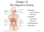 Chapter 24 The Digestive System - slide 1