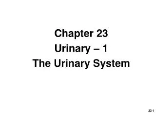 Chapter 23 Urinary – 1 The Urinary System