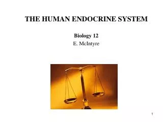 THE HUMAN ENDOCRINE SYSTEM Biology 12 E. McIntyre