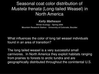 Seasonal coat color distribution of Mustela frenata (Long-tailed Weasel) in North America