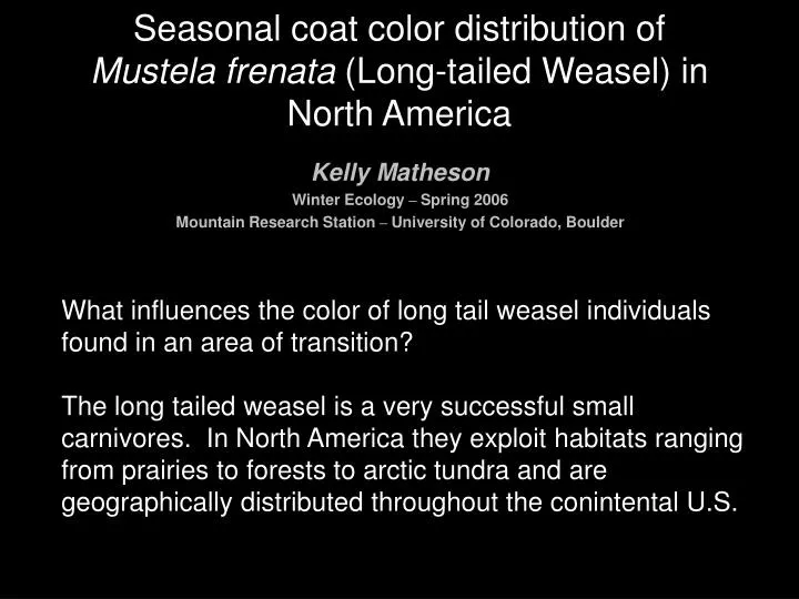 seasonal coat color distribution of mustela frenata long tailed weasel in north america