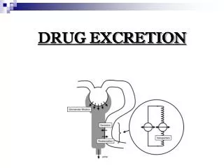 DRUG EXCRETION