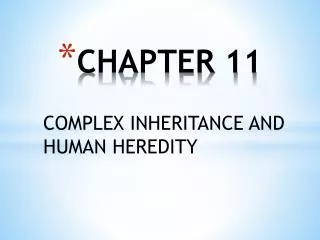 CHAPTER 11