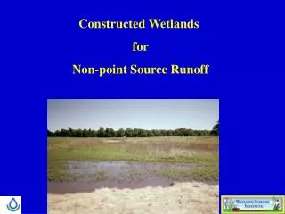 Constructed Wetlands for Non-point Source Runoff