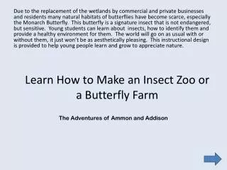 Learn How to Make an Insect Zoo or a Butterfly Farm