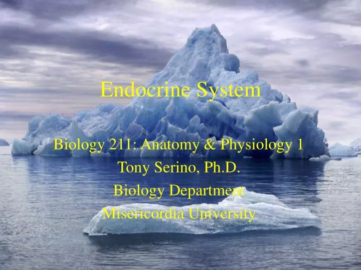 endocrine system