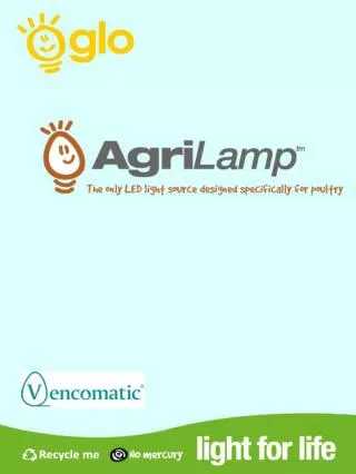 Power consumption in the poultry industry Current lighting options