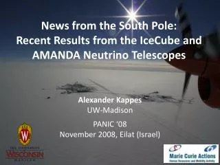 News from the South Pole: Recent Results from the IceCube and AMANDA Neutrino Telescopes