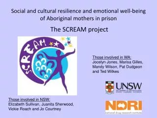Social and cultural resilience and emotional well-being of Aboriginal mothers in prison