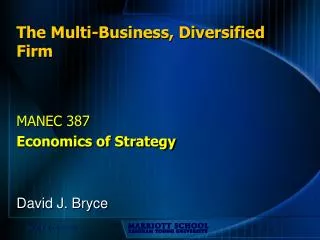 The Multi-Business, Diversified Firm