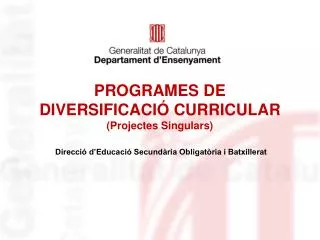 PROGRAMES DE DIVERSIFICACIÓ CURRICULAR (Projectes Singulars)
