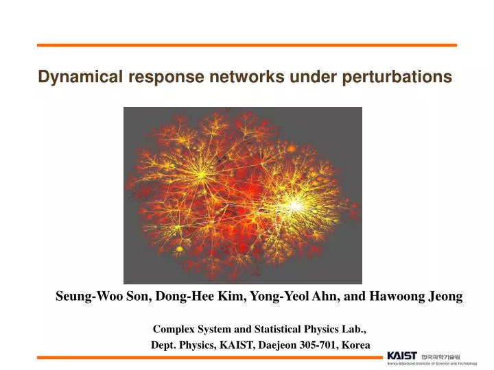 dynamical response networks under perturbations