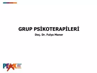 GRUP PSİKOTERAPİLERİ Doç. Dr. Fulya Maner