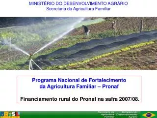 MINISTÉRIO DO DESENVOLVIMENTO AGRÁRIO Secretaria da Agricultura Familiar