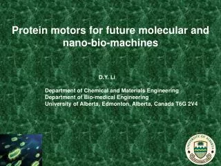 Protein motors for future molecular and nano-bio-machines