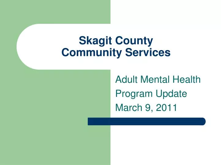 skagit county community services