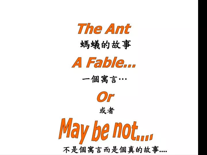 the ant
