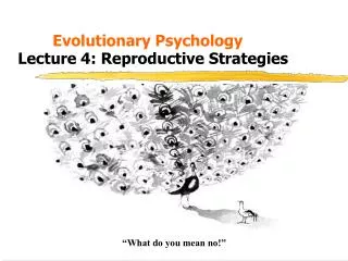 Evolutionary Psychology Lecture 4: Reproductive Strategies