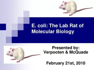 E. coli: The Lab Rat of Molecular Biology