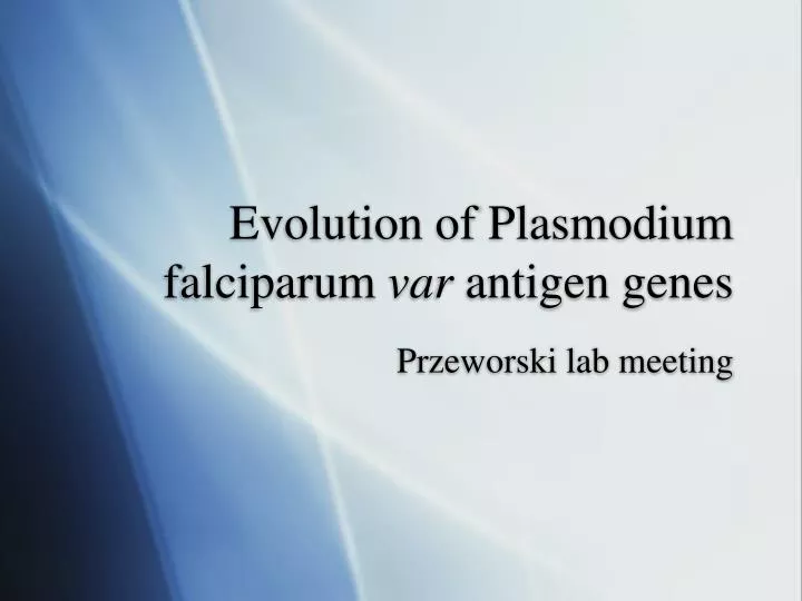 evolution of plasmodium falciparum var antigen genes